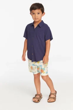 Kids/BOY Chaser Brand Collared Sapphire Blue Button Down Boys Shirt