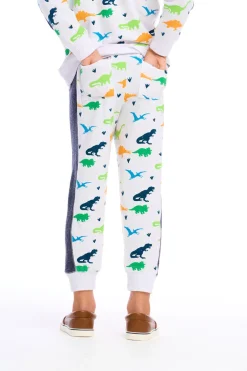 Kids/BOY Chaser Brand Dino Jogger