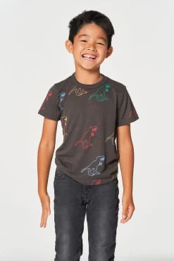 Kids/BOY Chaser Brand Dino Party