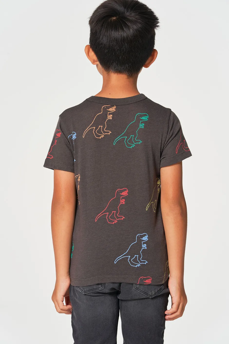 Kids/BOY Chaser Brand Dino Party