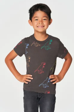 Kids/BOY Chaser Brand Dino Party