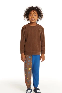 Kids/BOY Chaser Brand Long Sleeve Crew Neck Pullover