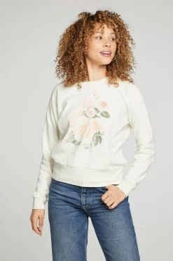 Women Chaser Brand Roses