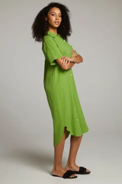 Women Chaser Brand Sebastian Piquant Green Button Down