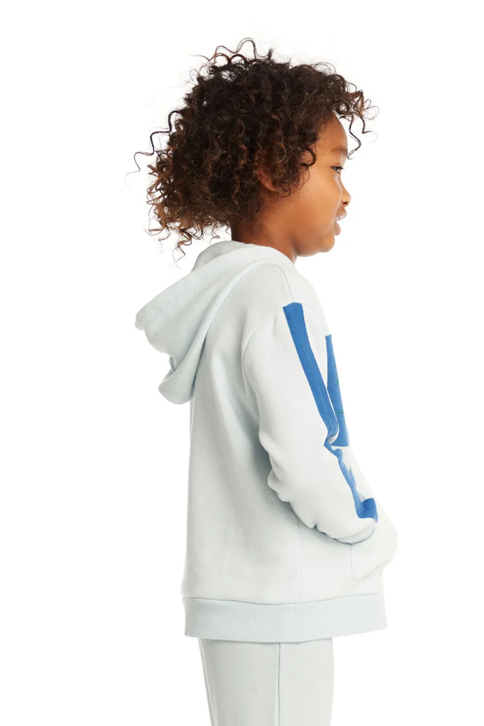 Kids/BOY Chaser Brand Surf Van Pullover Hoodie