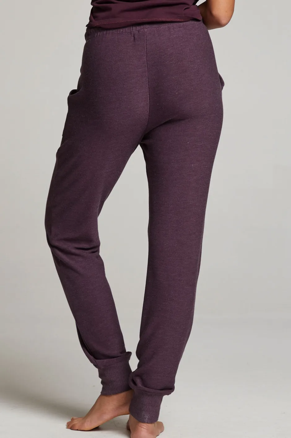 Women Chaser Brand Tessa Plum Perfect Jogger